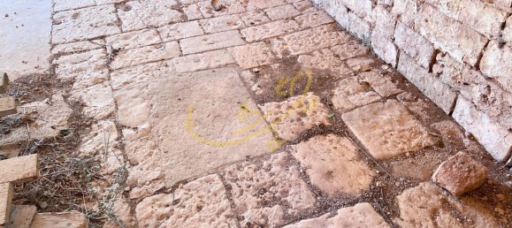 9-Zimmer Haus in Polignano a Mare, Italy, Nr. 43345 13