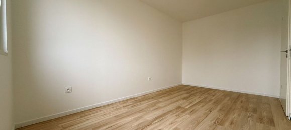 3 bedrooms House in Geispolsheim, France No. 38394 18