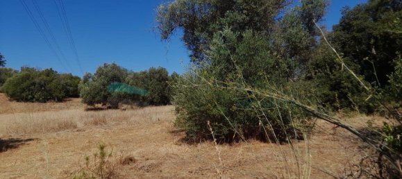 9860m² Land in Ferreiras, Portugal No. 222081 3