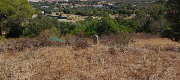 9860m² Land in Ferreiras, Portugal No. 222081 7