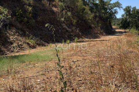 Grundstück in Monchique, Portugal, Nr. 264221