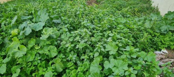 Terreno en Almada, Portugal 250 m² No. 89224 4