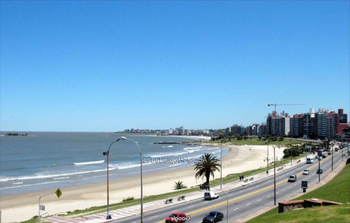 3 Schlafzimmer Grundstück in Montevideo, Uruguay, Nr. 14414