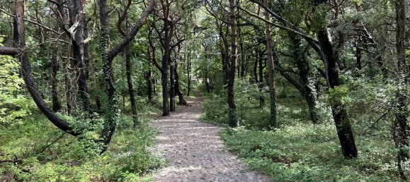 3 غرف نوم بنغالو في Vorpommern-Rugen, Germany رقم 327389 18