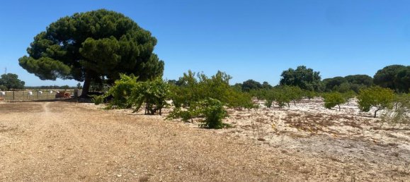 3 bedrooms Castles in Torrao, Portugal No. 144033 10