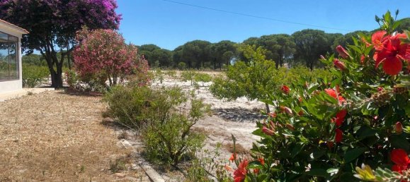 3 bedrooms Castles in Torrao, Portugal No. 144033 12