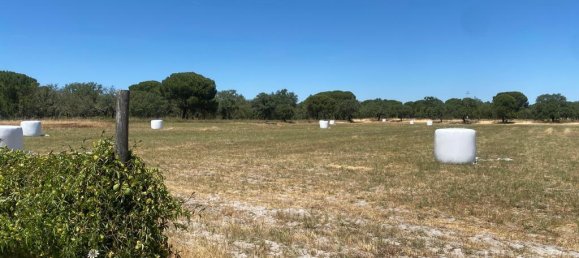 3 bedrooms Castles in Torrao, Portugal No. 144033 15