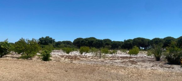 3 bedrooms Castles in Torrao, Portugal No. 144033 7