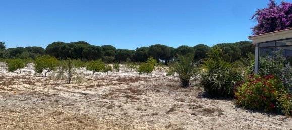 3 bedrooms Castles in Torrao, Portugal No. 144033 9