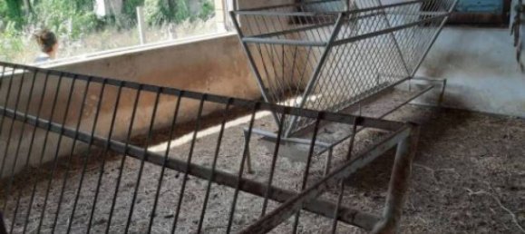  مستودع في Rizziconi, Italy 1000متر مربع رقم 320458 10