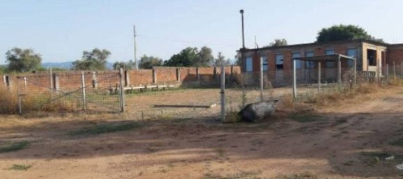  مستودع في Rizziconi, Italy 1000متر مربع رقم 320458 11