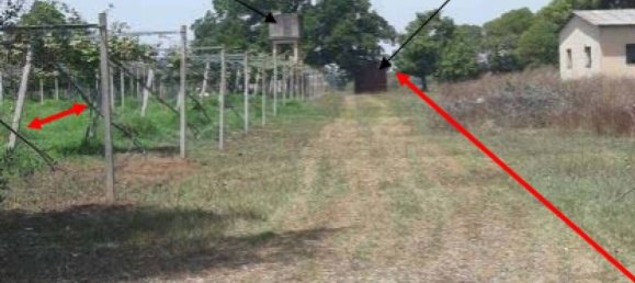  مستودع في Rizziconi, Italy 1000متر مربع رقم 320458 9