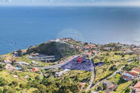  Land in Funchal, Portugal No. 252189