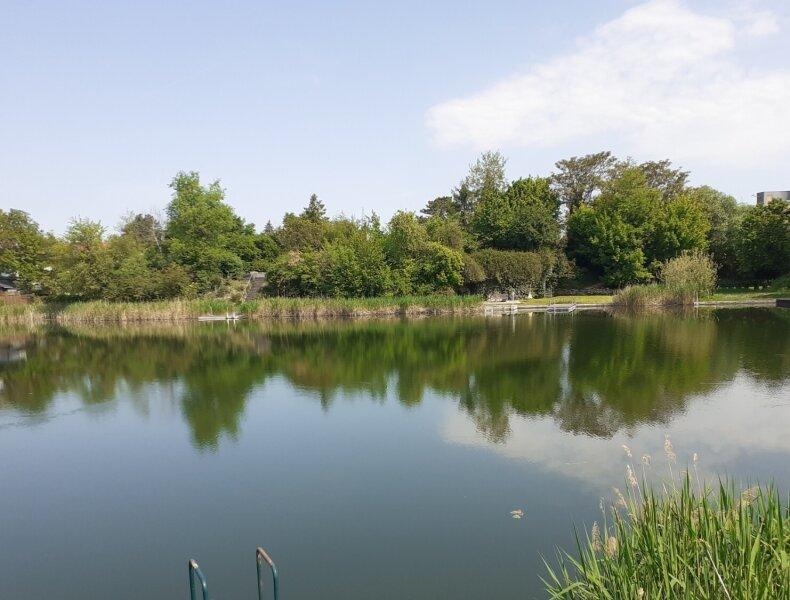 4-Zimmer Haus in Leopoldsdorf, Austria, Nr. 256933