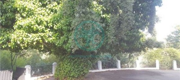 4 bedrooms House in Sierra de Fuentes, Spain No. 117946 12