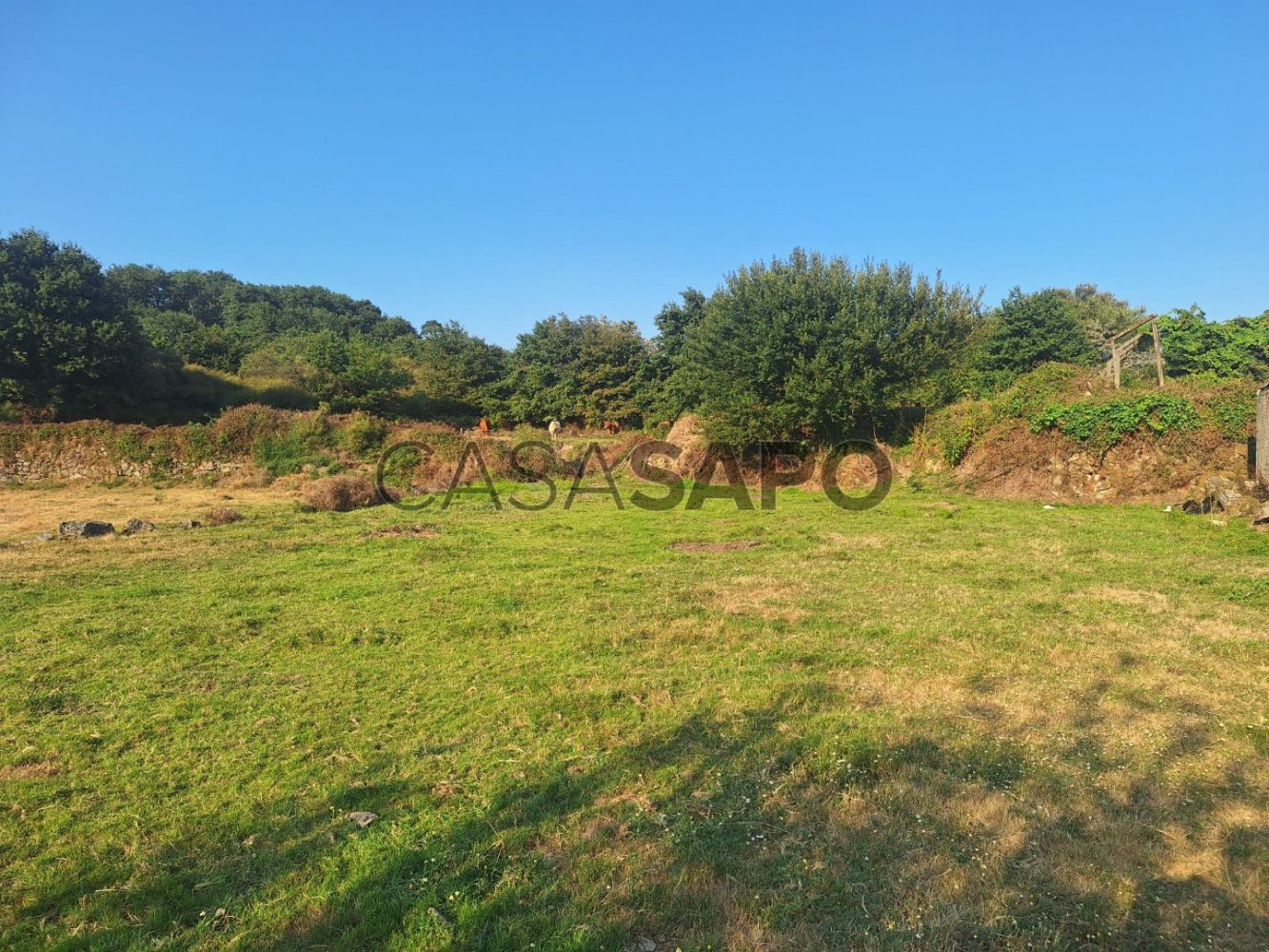 Grundstück in Paredes de Coura, Portugal, Nr. 259735