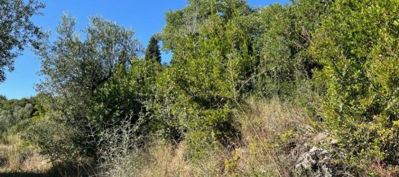 3 Schlafzimmer Villa in Corfu, Greece, Nr. 8366 14