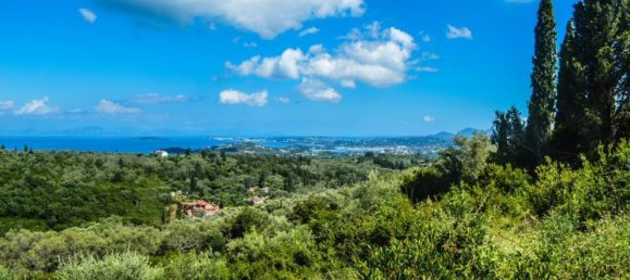 3 Schlafzimmer Villa in Corfu, Greece, Nr. 8366 11