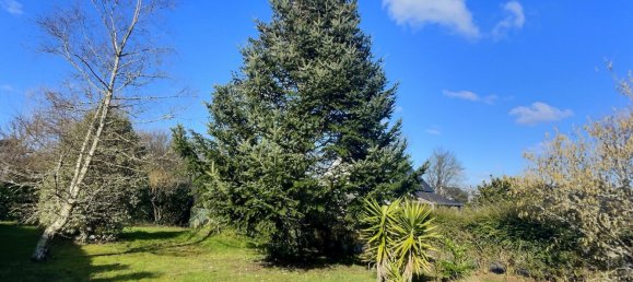 Дом с 3 спальнями в Моэлан-сюр-Мер, Франция № 41323 2