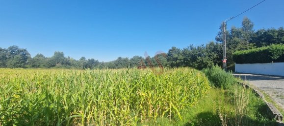 15800m² Land in Serzedelo, Portugal No. 35070 5