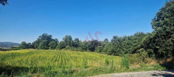 15800m² Land in Serzedelo, Portugal No. 35070 4