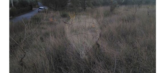 1480m² Land in Alvaiazere, Portugal No. 77782 8