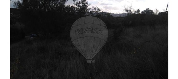 1480m² Land in Alvaiazere, Portugal No. 77782 5