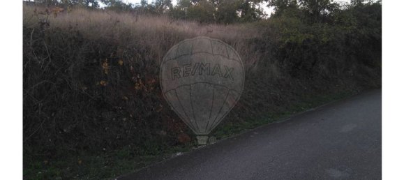 1480m² Land in Alvaiazere, Portugal No. 77782 11