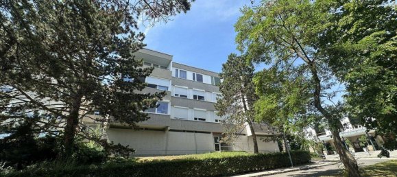 4 rooms Apartment in Bad Voslau, Austria No. 142291 12