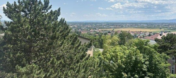 4 rooms Apartment in Bad Voslau, Austria No. 142291 2