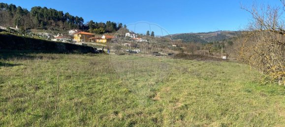 4 bedrooms House in Tarouca, Portugal No. 154795 3