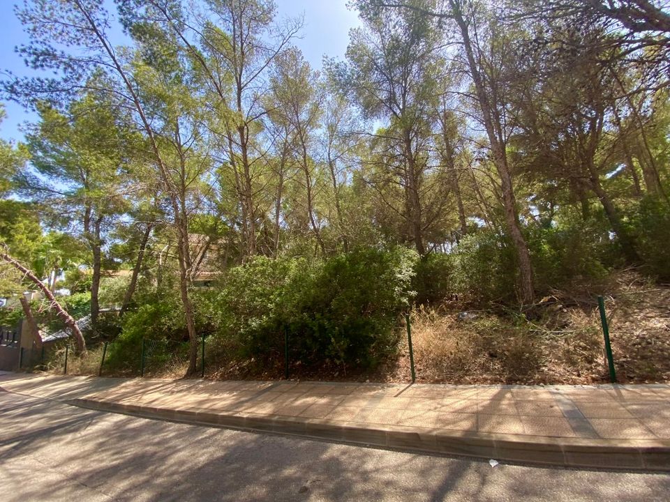 Земельный участок в Соль-де-Майорка, Испания № 216012