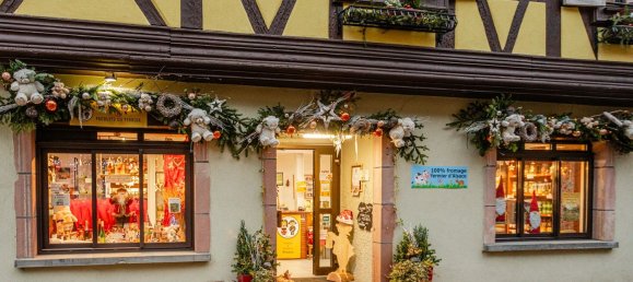 Gewerbliche Immobilie in Haut-Rhin, France 40m², Nr. 40079 2