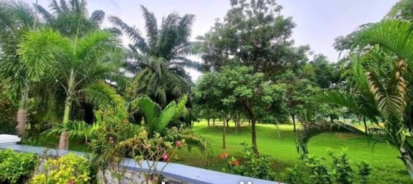 4 bedrooms Cafe / restaurant in Pattaya, Thailand No. 15509 4