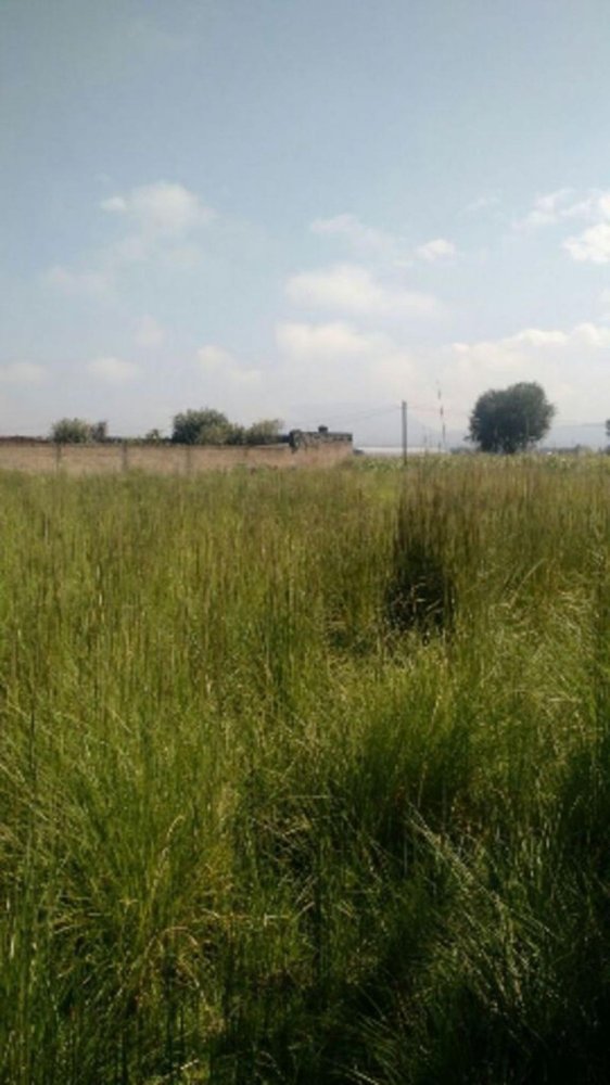  Land in Ocoyoacac, Mexico No. 206895