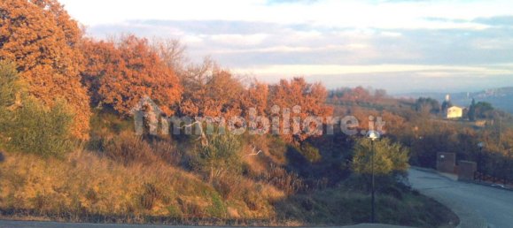 1625m² Land in Panicale, Italy No. 281037 4
