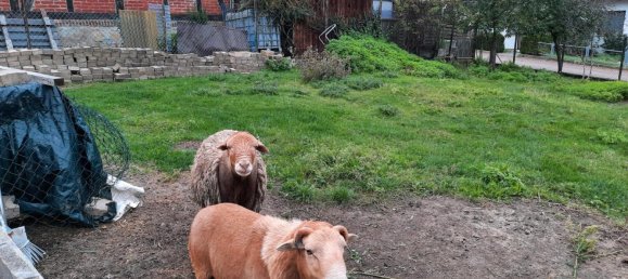 2 chambres Maison à Holzminden, Germany No. 218620 5