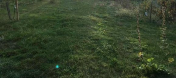 2 chambres Maison à Holzminden, Germany No. 218620 9