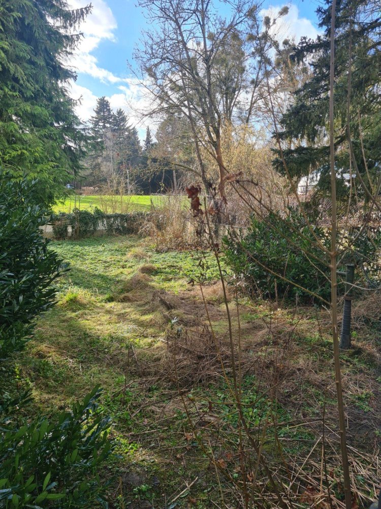 Terrain à Main-Taunus, Germany No. 323027