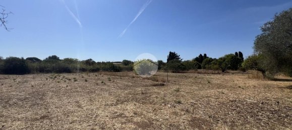 Дом с 3 спальнями в Сорсо, Италия № 327195 17