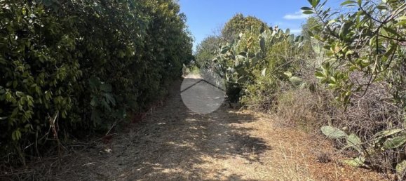 Дом с 3 спальнями в Сорсо, Италия № 327195 21