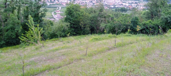 6419m² Land in Montecchia di Crosara, Italy No. 276761 3