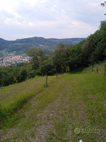 6419m² Land in Montecchia di Crosara, Italy No. 276761