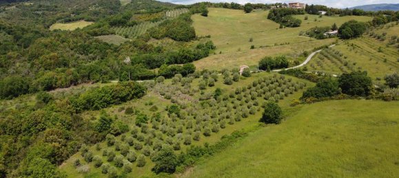 2 rooms House in Civitella Paganico, Italy No. 268108 3