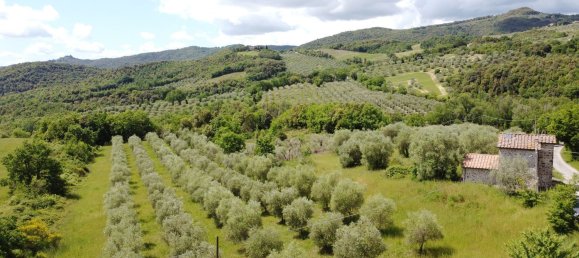 2 rooms House in Civitella Paganico, Italy No. 268108 12