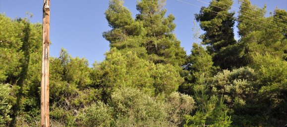 3800m² terrain à vendre à Chalkidiki, Central Macedonia, Macedonia and Thrace, Greece № 95234 7