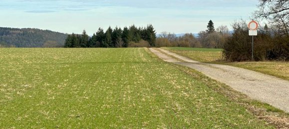 15 rooms Castles in Baden-Wurttemberg, Germany No. 41985 51