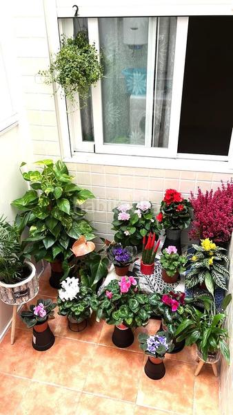 3 bedrooms Apartment in Alicante, Spain No. 259096