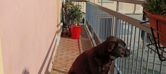 3 rooms Duplex in Bollate, Italy No. 69605 10