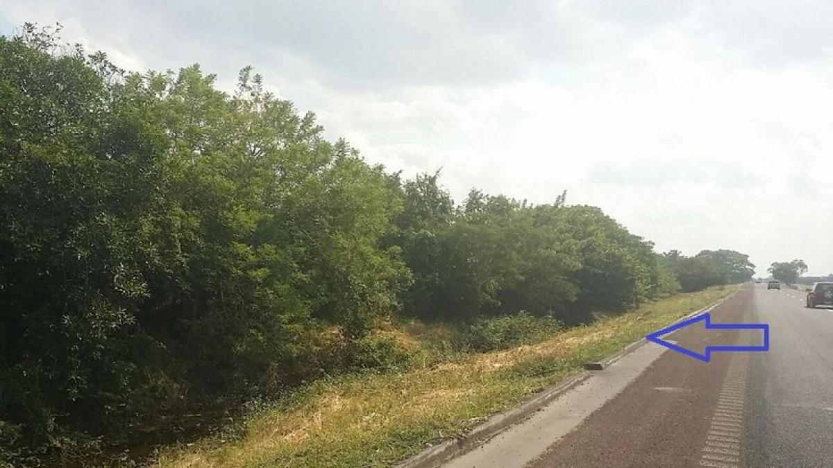  Land in Veracruz, Mexico No. 206855